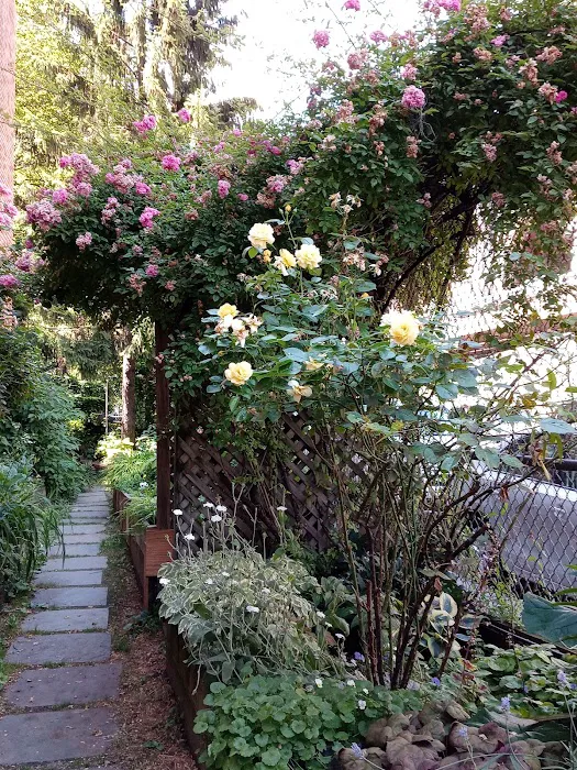 FishBridge Park Garden Picture 4