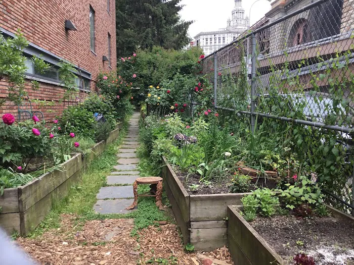 FishBridge Park Garden Picture 5