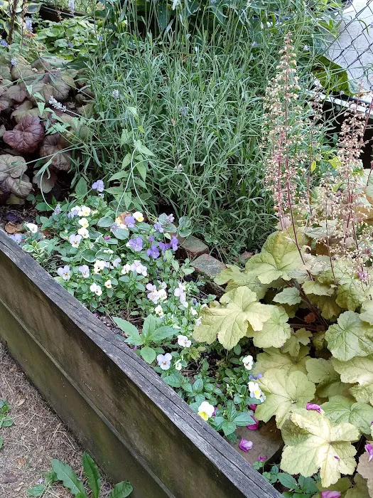 FishBridge Park Garden Picture 10