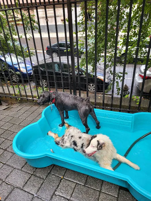 Fishbridge Park Garden Dog Run Picture 10