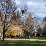 Masnicki Park