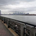 Terry Collins Park