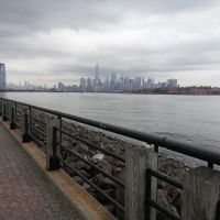 Terry Collins Park ico