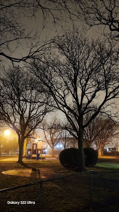 Terry Collins Park Picture 3
