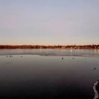 Westwood Park ico