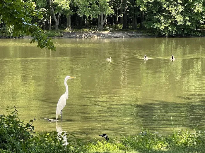Willowbrook Park Picture 8