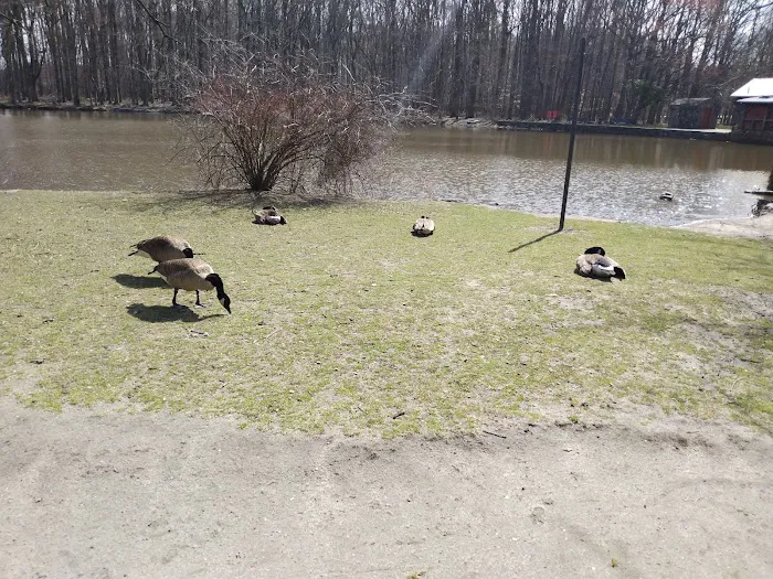 Willowbrook Park Picture 6