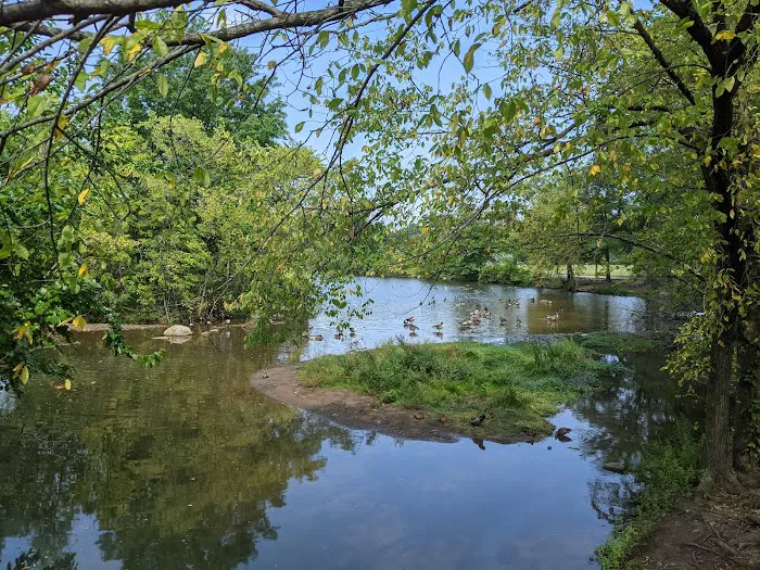 Clove Lakes Park Picture 3