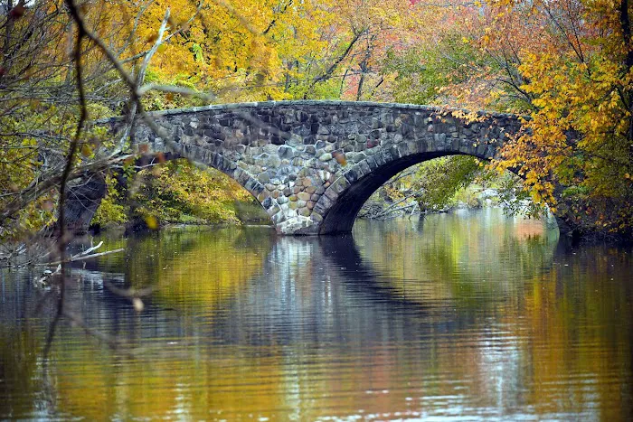 Clove Lakes Park Picture 4