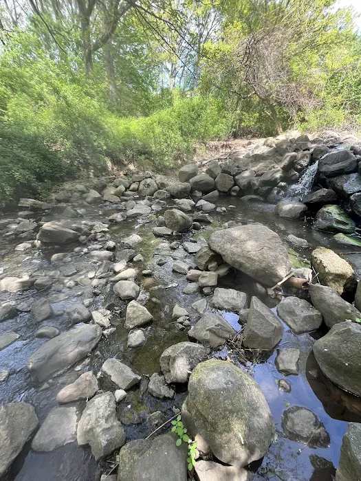 Clove Lakes Park Picture 9