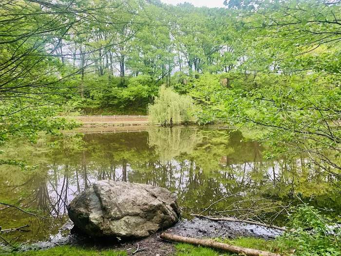 Clove Lakes Park Picture 5