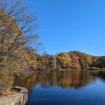 Clove Lakes Park
