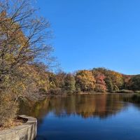 Clove Lakes Park ico