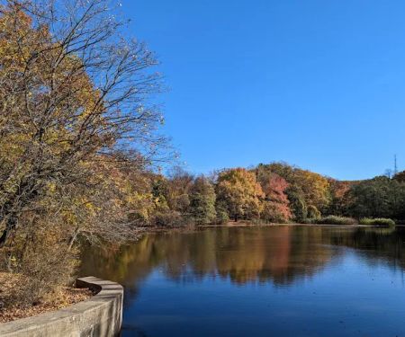 Clove Lakes Park