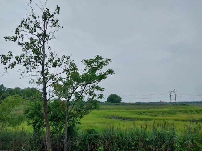 Saw Mill Creek Marsh Picture 3