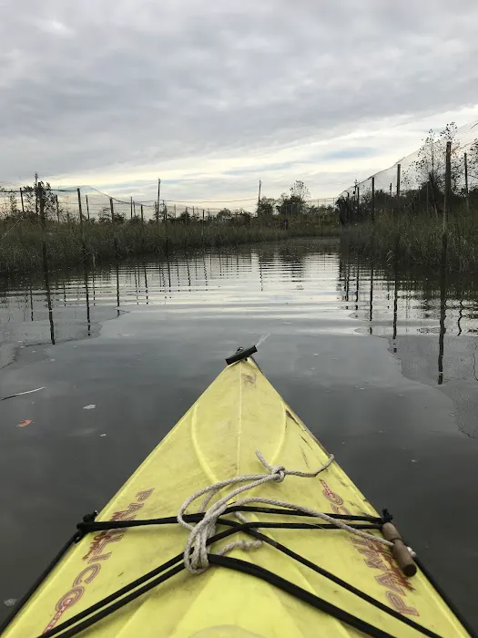 Saw Mill Creek Marsh Picture 6