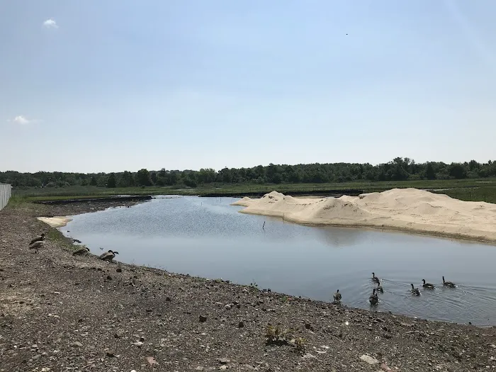 Saw Mill Creek Marsh Picture 8