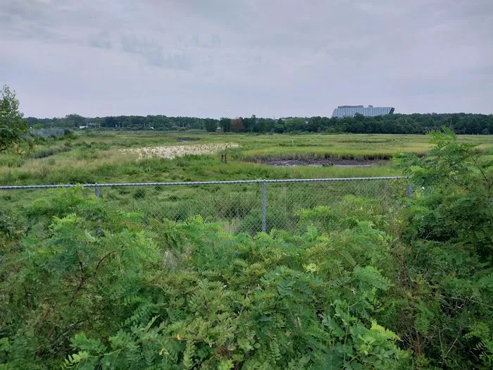Saw Mill Creek Marsh Picture 2