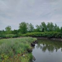 Saw Mill Creek Marsh ico