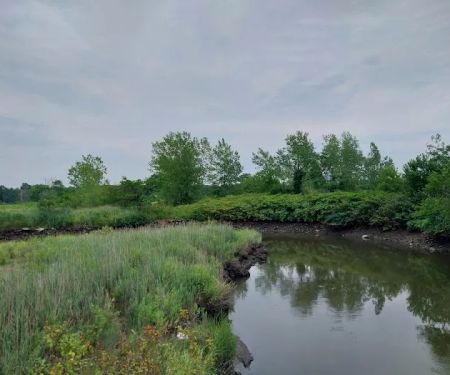 Saw Mill Creek Marsh