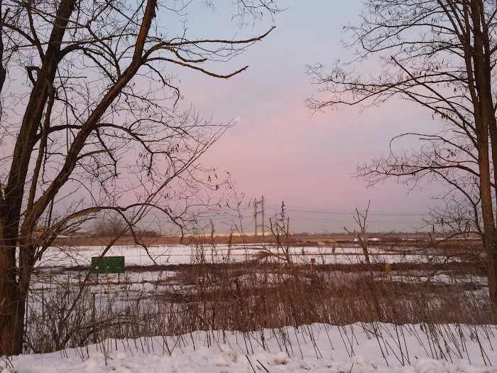 Saw Mill Creek Marsh Picture 5