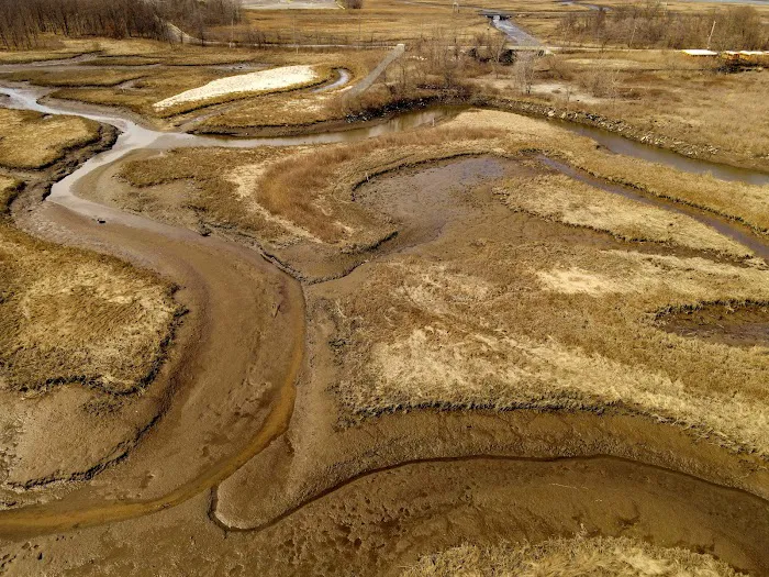 Saw Mill Creek Marsh Picture 10