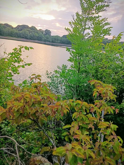 Silver Lake Park Road Picture 5