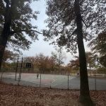 Clove Lake Basketball