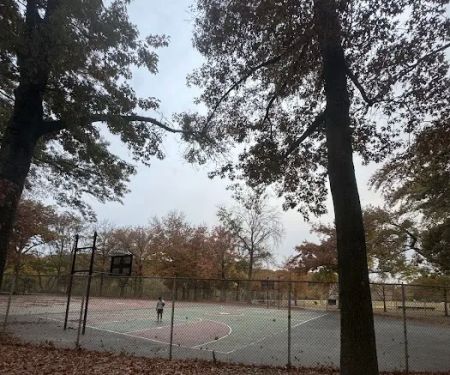 Clove Lake Basketball