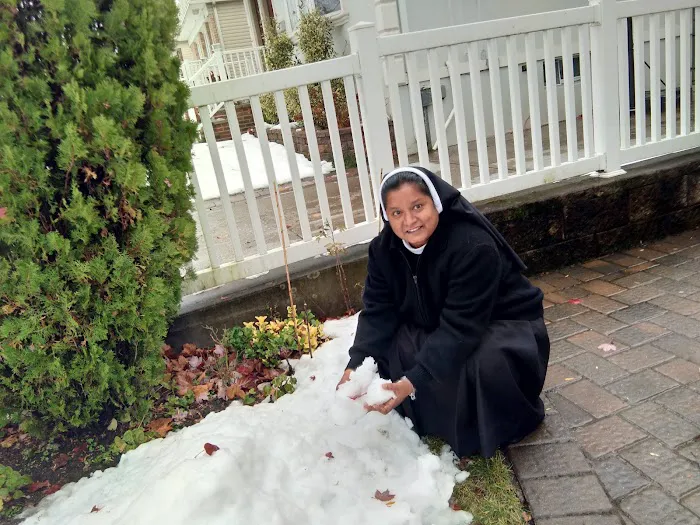 Daughters of Our Lady-The Garden Picture 2