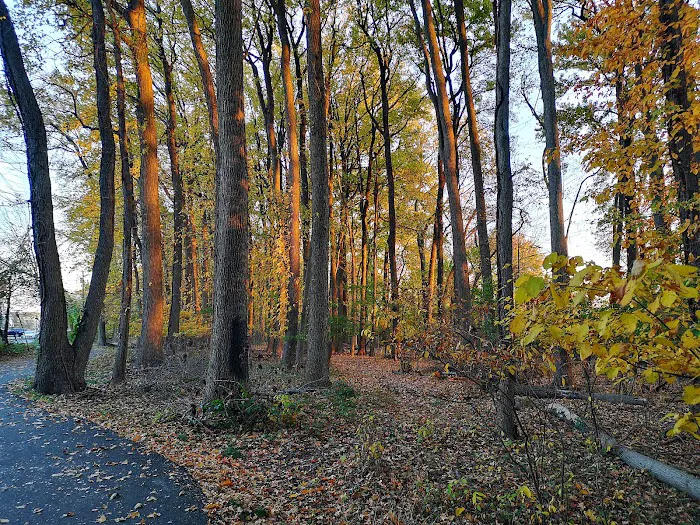 William T Davis Wildlife Refuge Picture 5