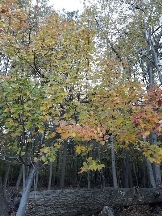 William T Davis Wildlife Refuge Picture 9