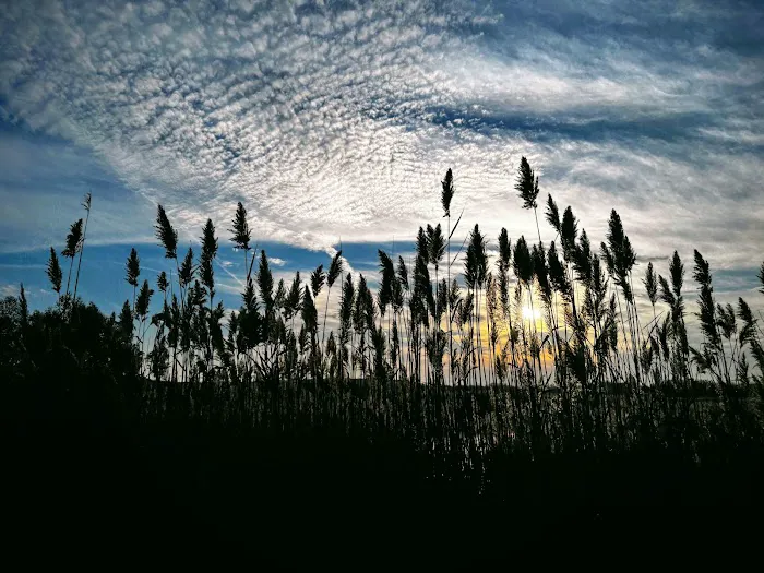 William T Davis Wildlife Refuge Picture 8