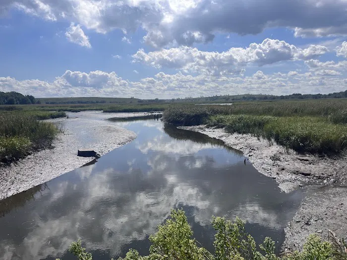 William T Davis Wildlife Refuge Picture 2