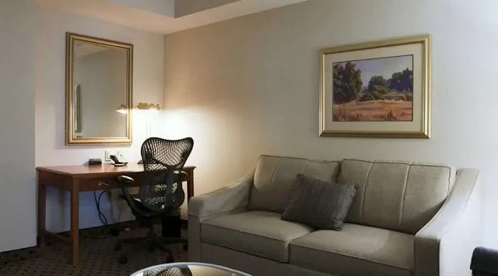 Hilton Garden Inn Secaucus/Meadowlands Picture 7