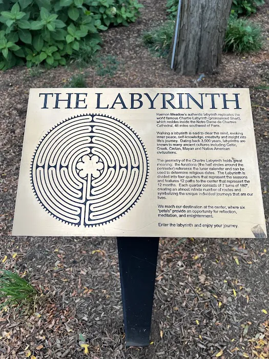 The Labyrinth Picture 7