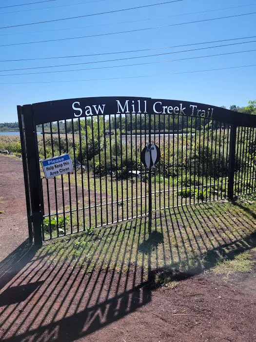 Sawmill Creek Trail & Transco Trail Picture 9