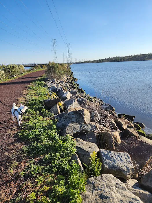 Sawmill Creek Trail & Transco Trail Picture 6