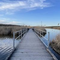 Richard W. DeKorte Park ico