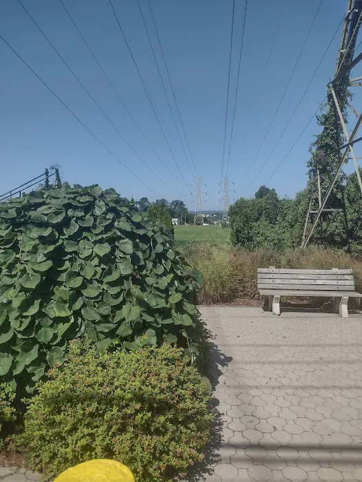 Andrew Cerco Park Picture 1