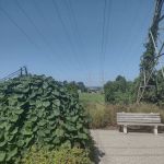 Andrew Cerco Park
