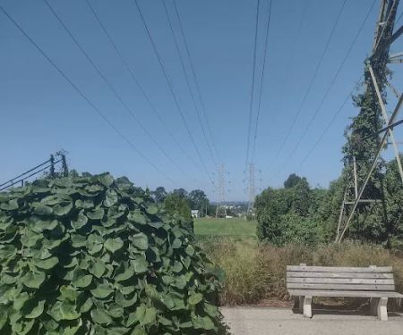 Andrew Cerco Park