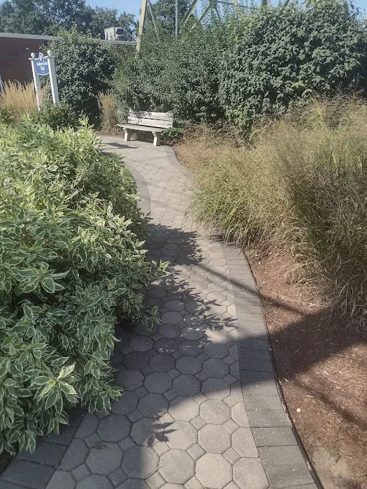 Andrew Cerco Park Picture 10
