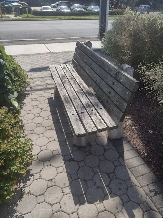 Andrew Cerco Park Picture 2