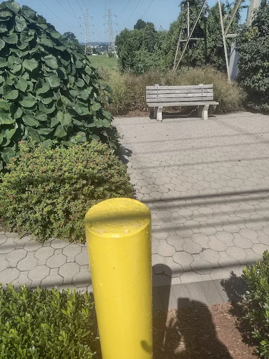 Andrew Cerco Park Picture 5