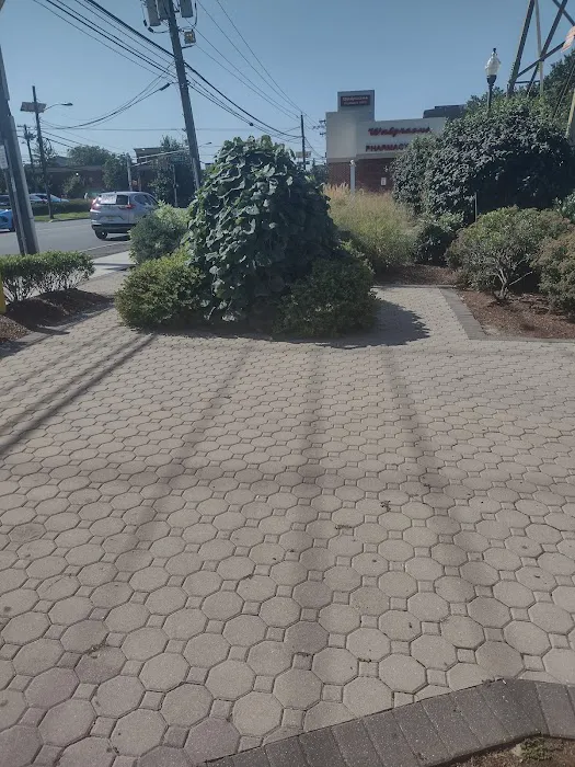 Andrew Cerco Park Picture 6