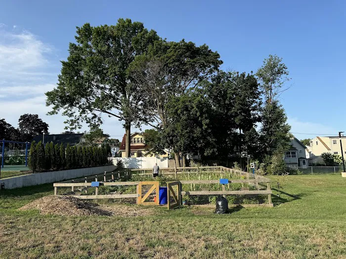 North Arlington Community Garden Picture 1