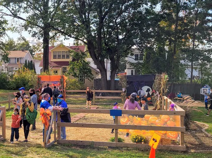 North Arlington Community Garden Picture 3