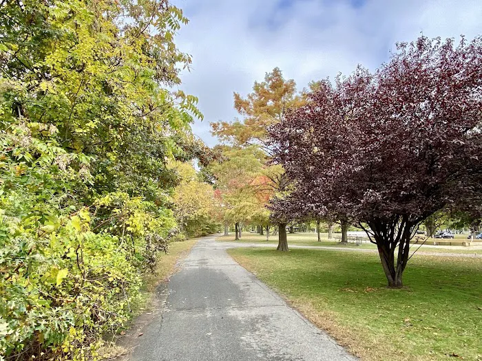 Lyndhurst Dog Park Picture 7