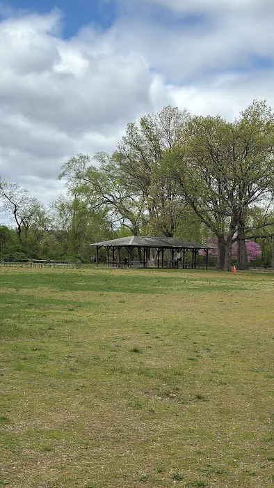 Lyndhurst Dog Park Picture 1